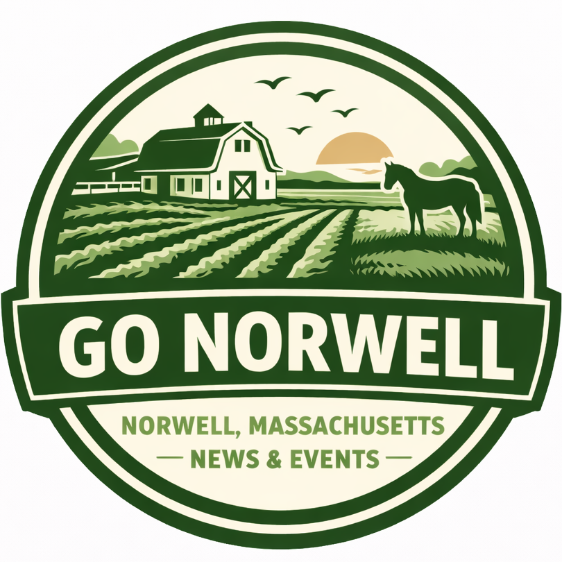 Go Norwell logo